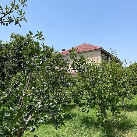 בראט Villa Mance מראה חיצוני תמונה