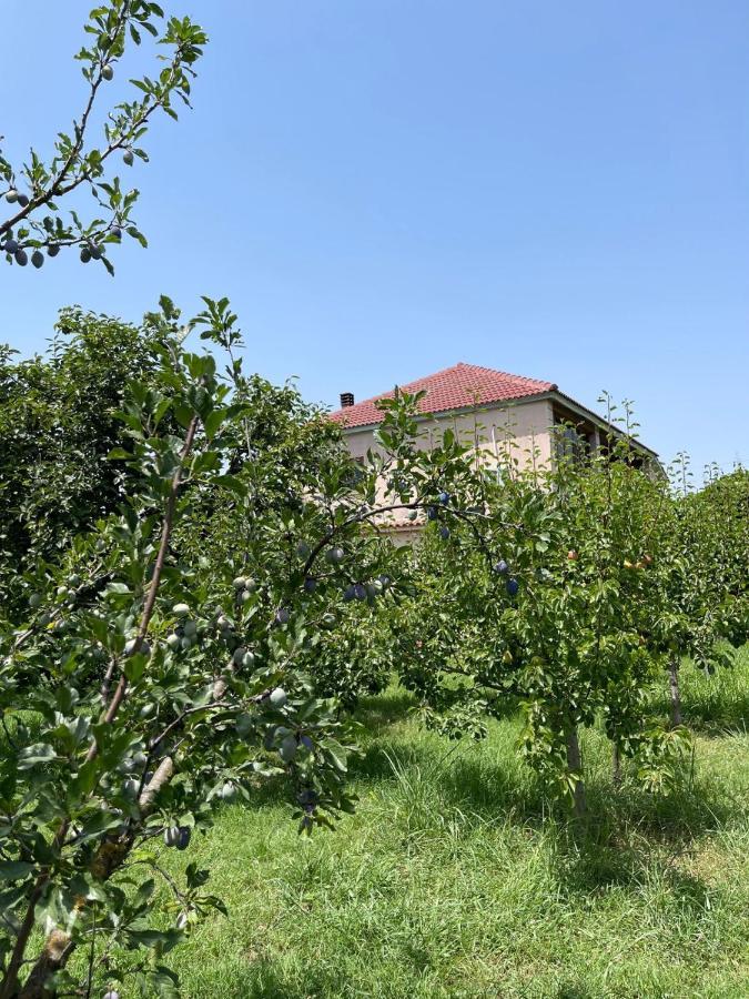 בראט Villa Mance מראה חיצוני תמונה