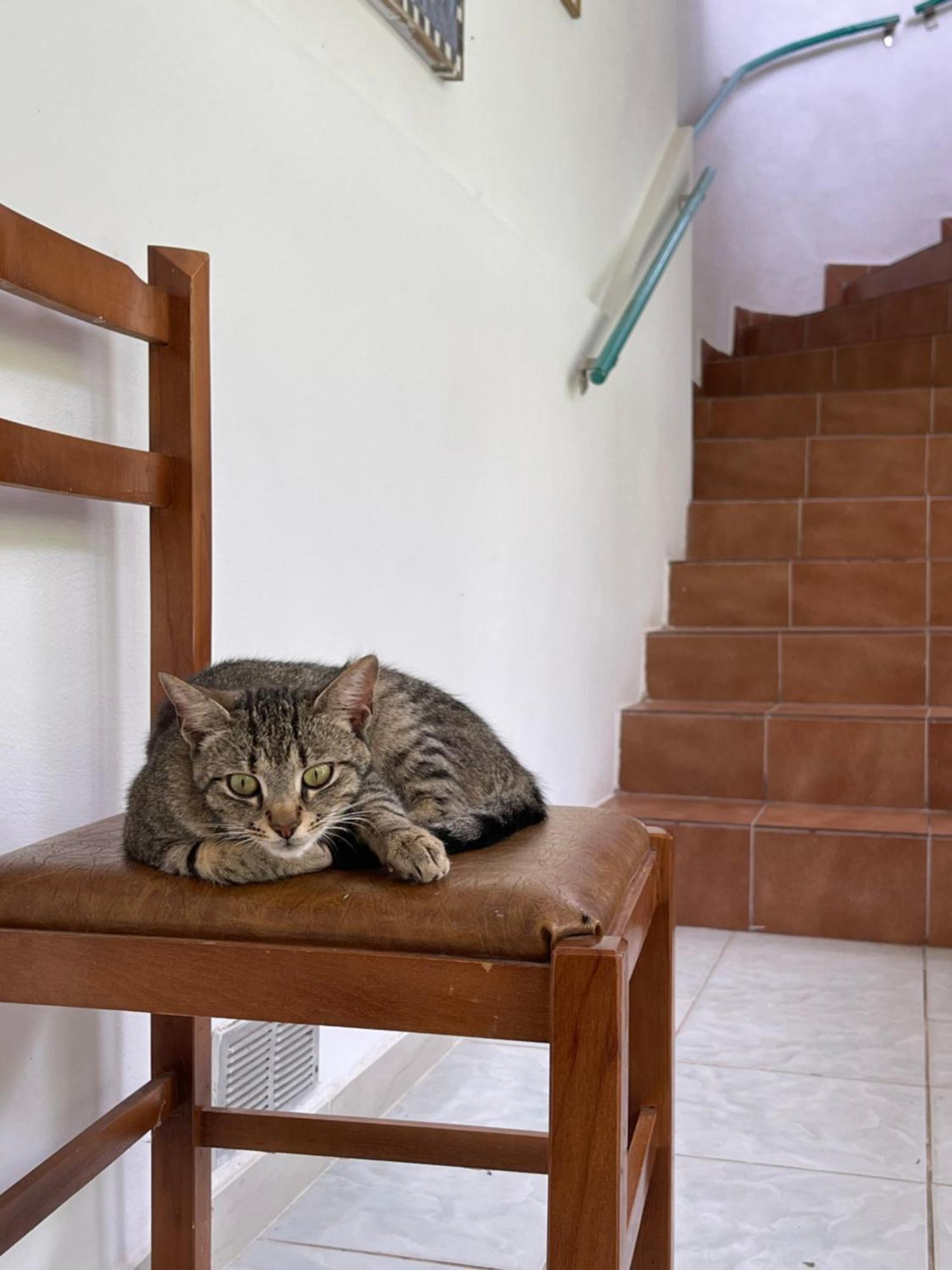 בראט Villa Mance מראה חיצוני תמונה