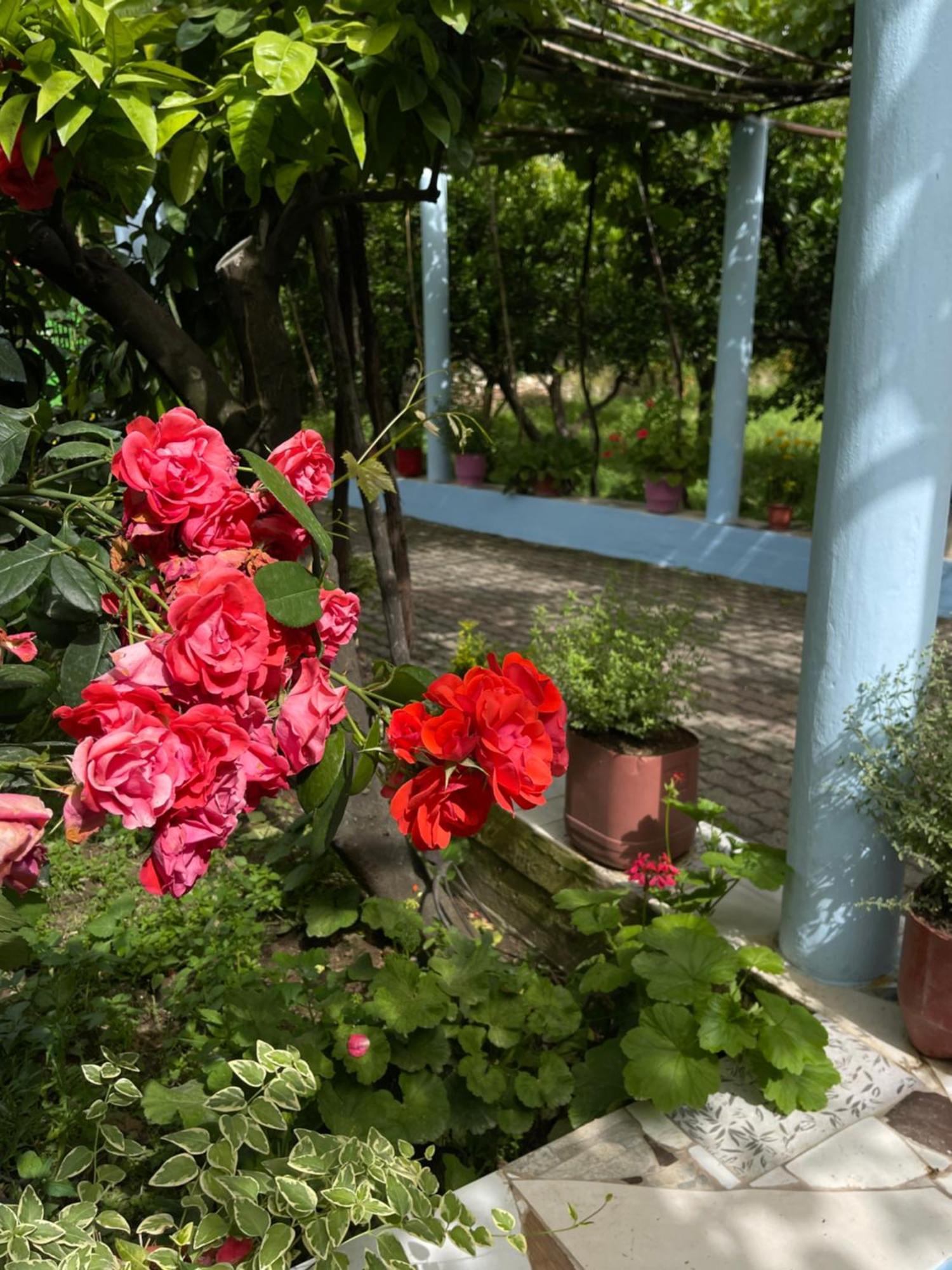 בראט Villa Mance מראה חיצוני תמונה