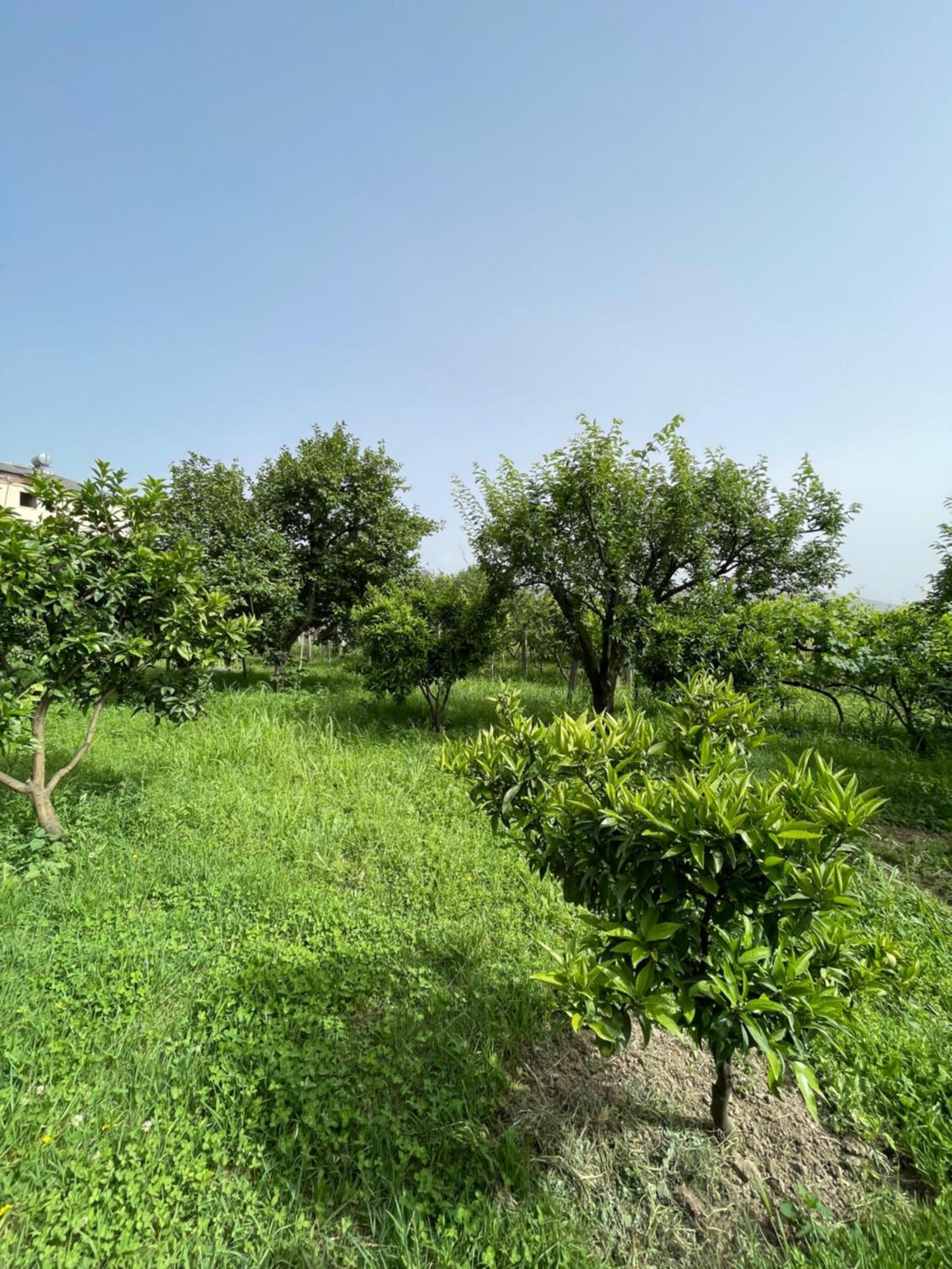 בראט Villa Mance מראה חיצוני תמונה