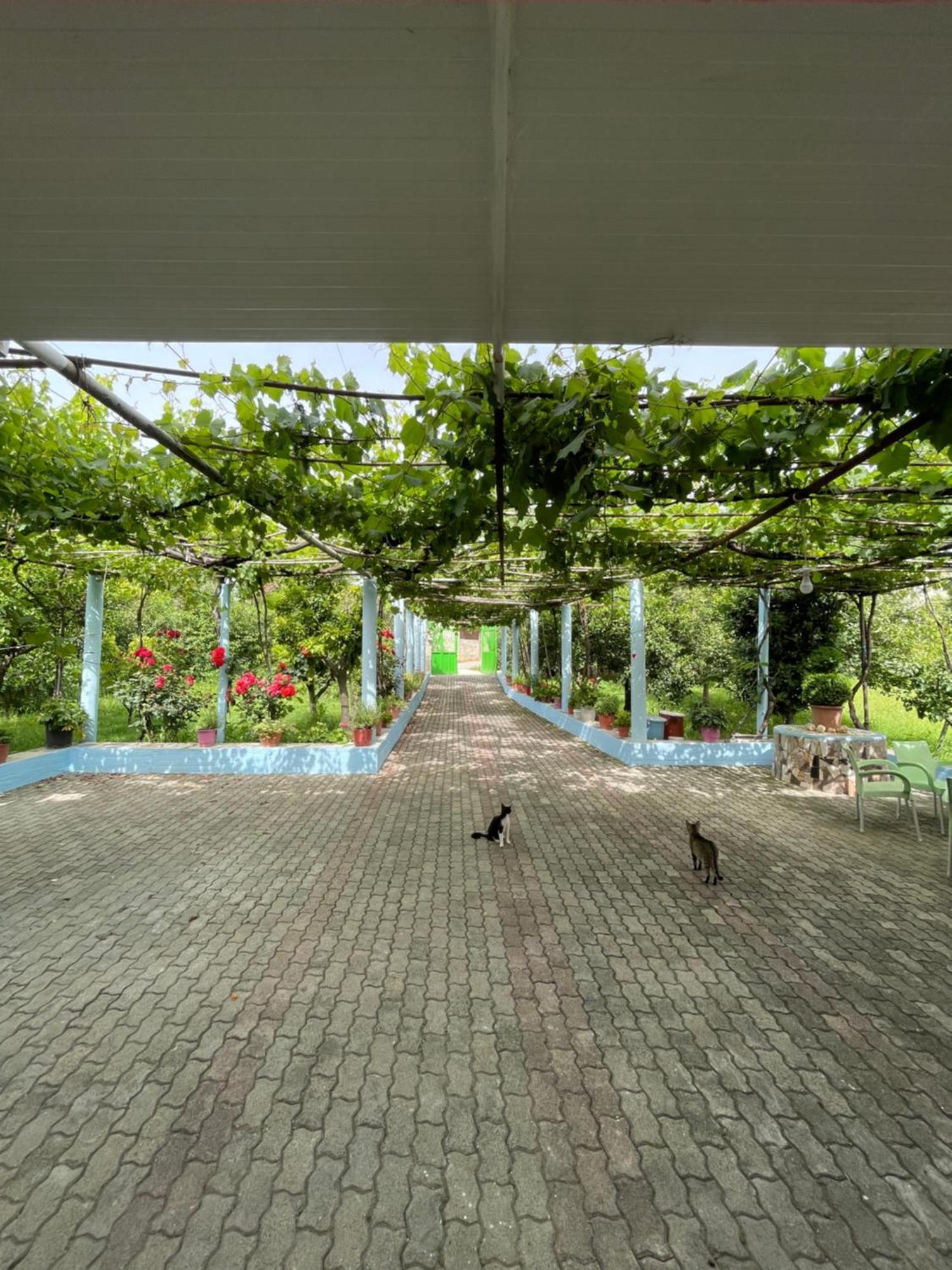 בראט Villa Mance מראה חיצוני תמונה