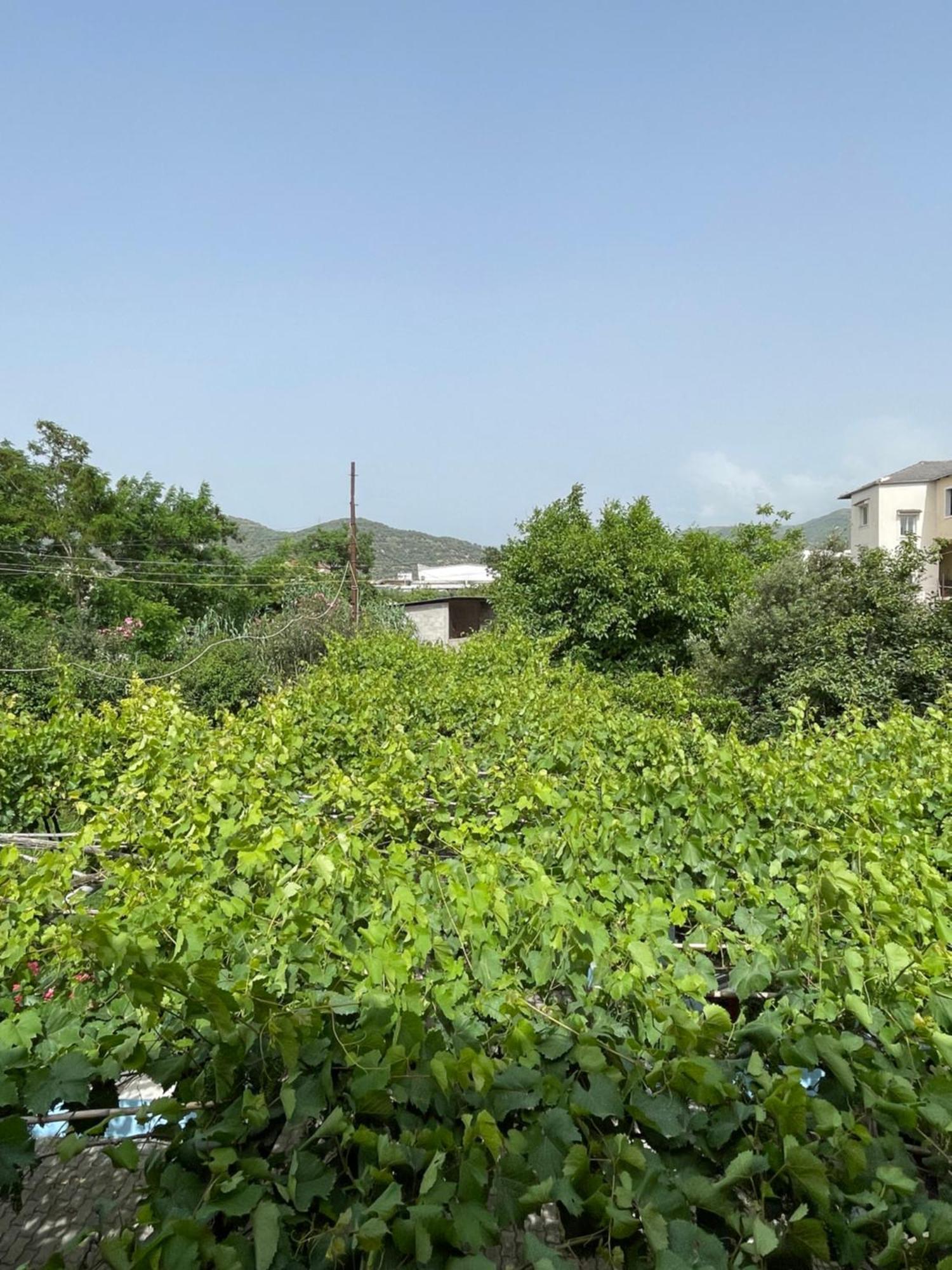 בראט Villa Mance מראה חיצוני תמונה